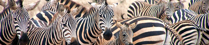 Africa