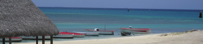 Caribbean
