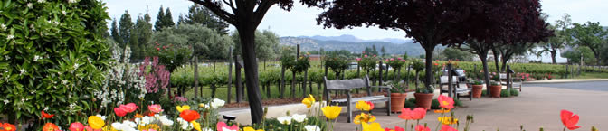 Napa