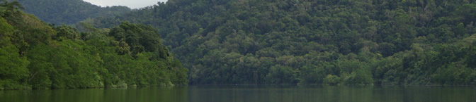 South America